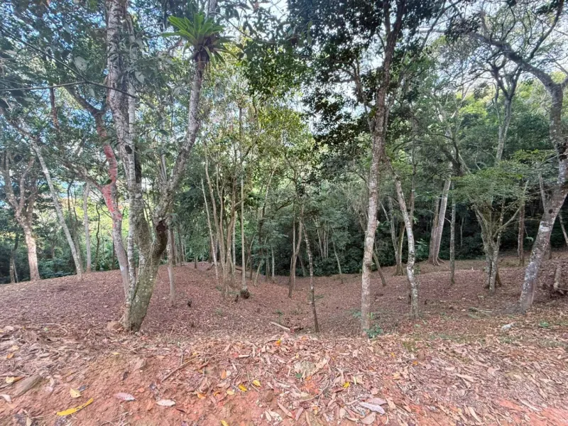 LOTE CANTO DA PRAIA